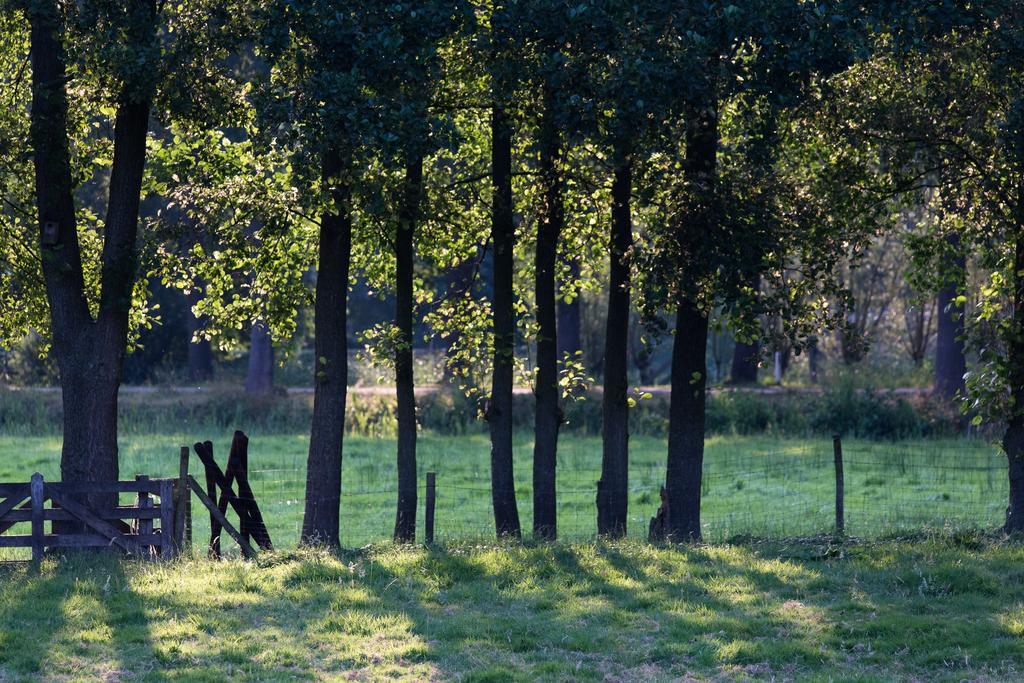 Blier Herne Gorredijk エクステリア 写真